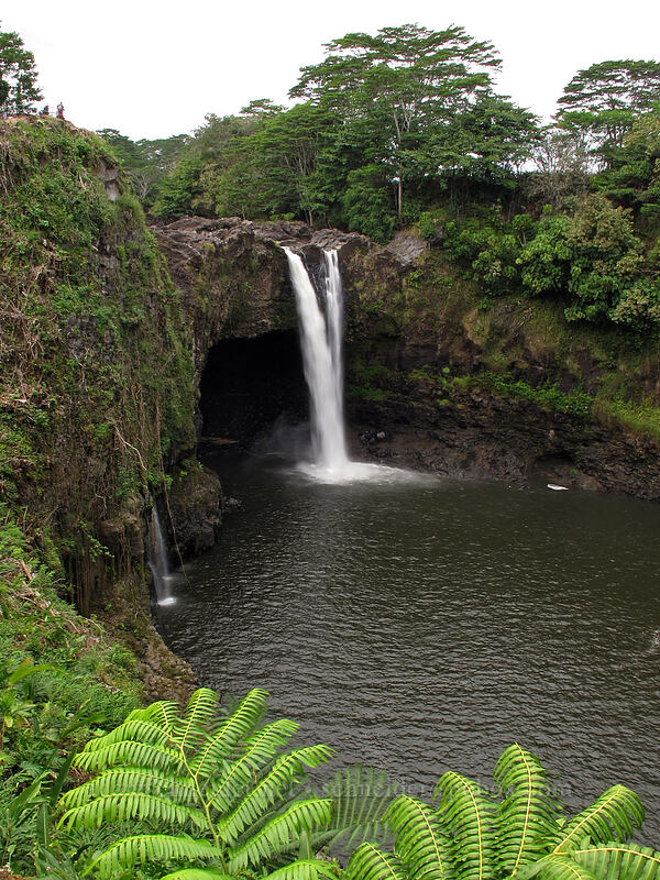 Rainbow Falls [Wailuku River State Park, Hilo, Big Island, Hawaii]