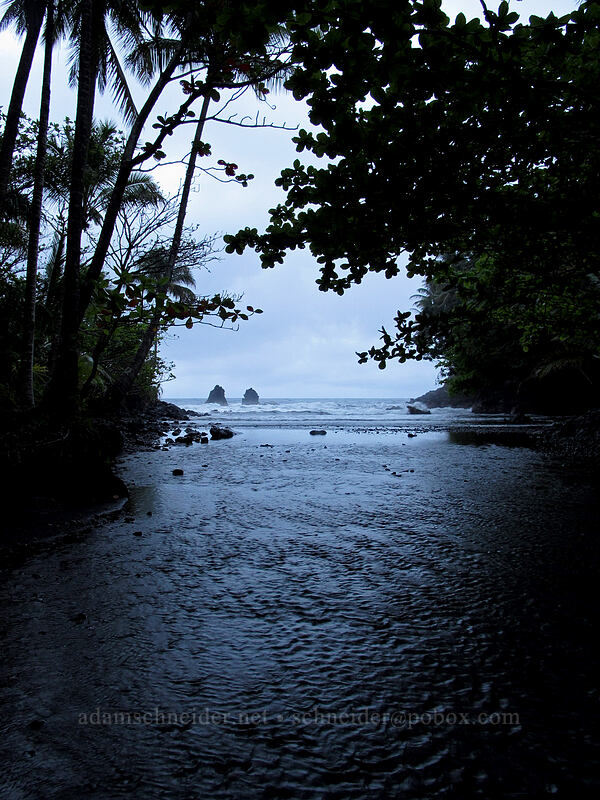 Onomea Stream [Onomea Bay, South Hilo District, Big Island, Hawaii]