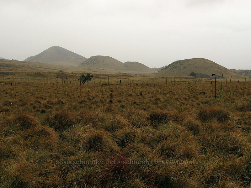 Loaloa and smaller cinder cones [Mauna Kea Access Road, Mauna Kea State Park, Big Island, Hawaii]