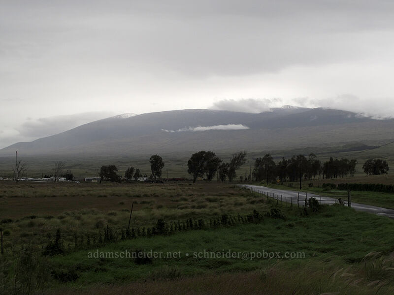 snow on Mauna Kea [Mamalahoa Highway, Waimea, Big Island, Hawaii]