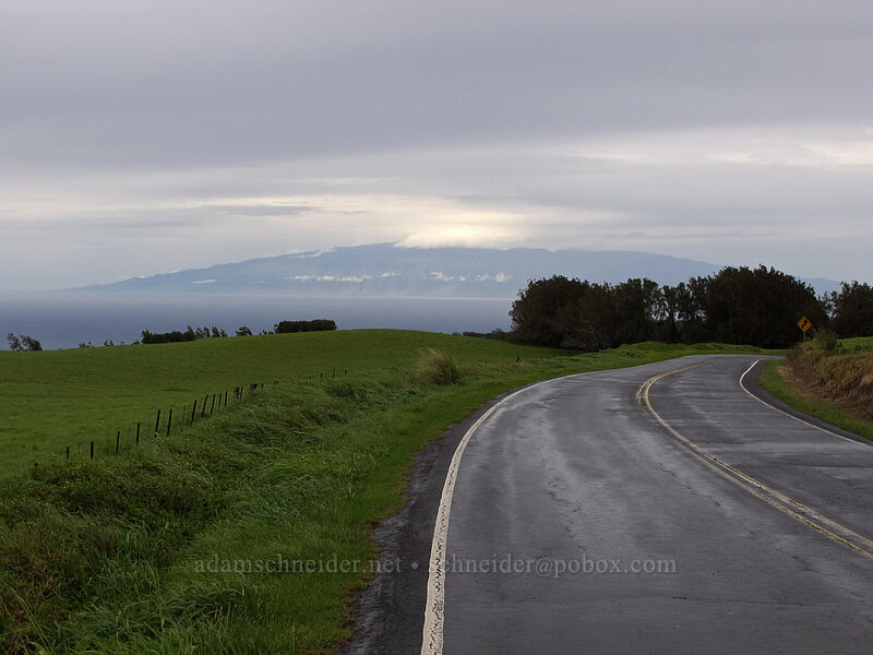 Maui view [Kohala Mountain Road, North Kohala District, Big Island, Hawaii]