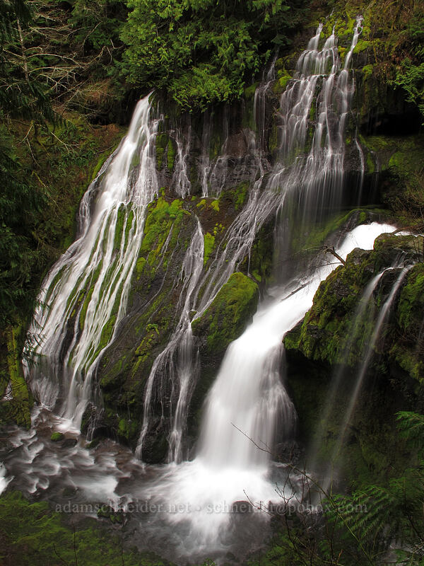 Panther Creek Falls [Forest Road 65, Gifford Pinchot National Forest, Skamania County, Washington]