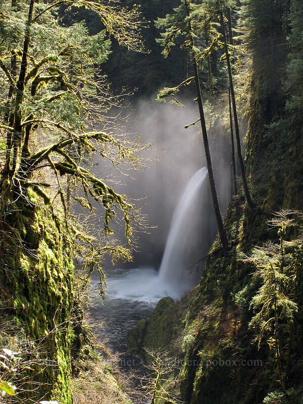 Metlako Falls [Eagle Creek Trail, Columbia River Gorge, Hood River County, Oregon]