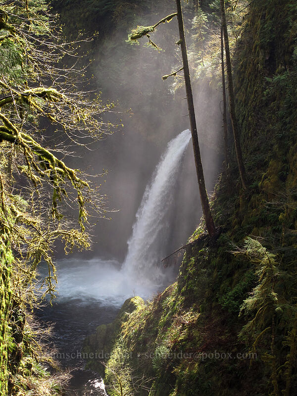 Metlako Falls [Eagle Creek Trail, Columbia River Gorge, Hood River County, Oregon]