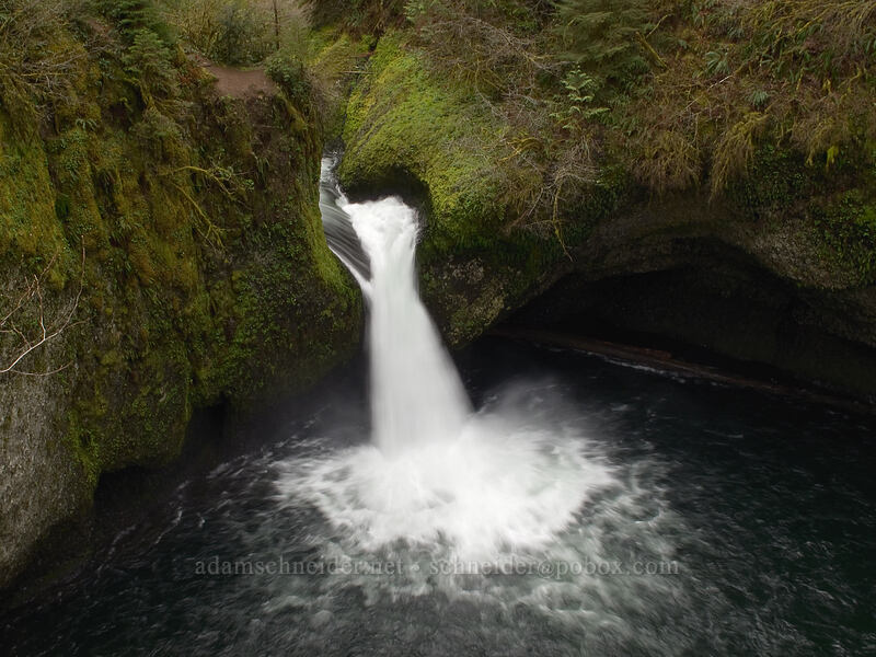Punchbowl Falls [Eagle Creek Trail, Columbia River Gorge, Hood River County, Oregon]