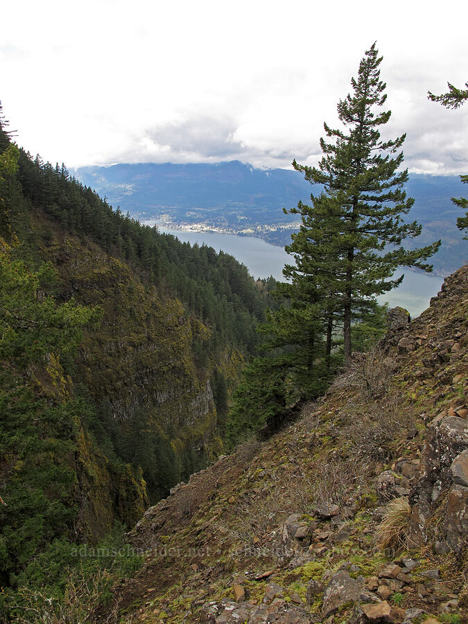 west edge of Indian Point [Indian Point, Mt. Hood National Forest, Hood River County, Oregon]