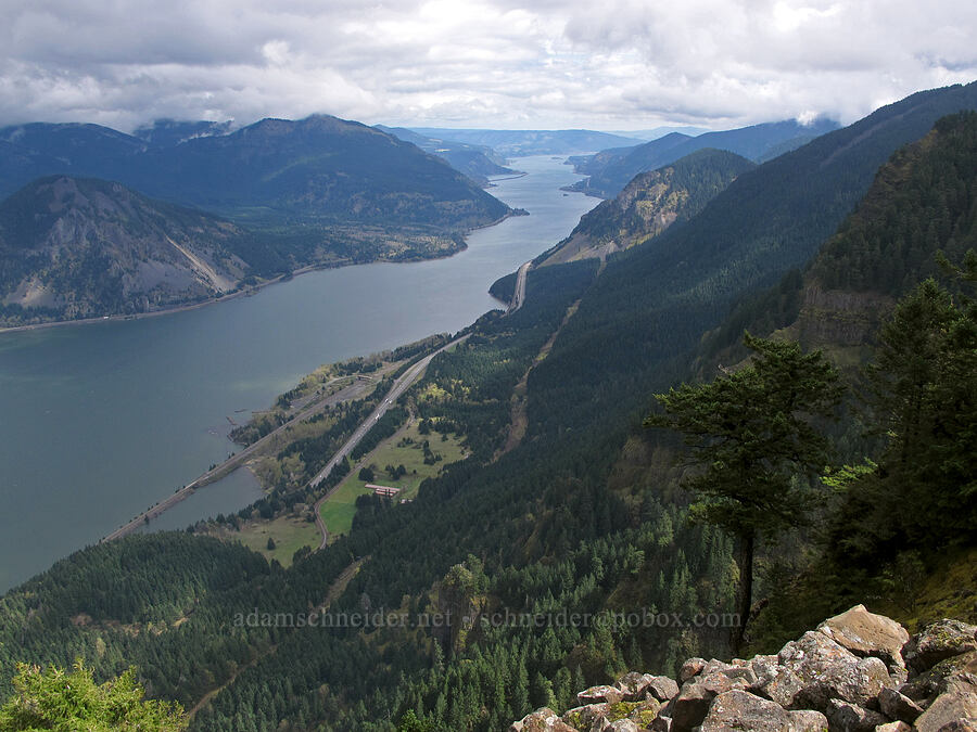 view from Indian Point [Indian Point, Mt. Hood National Forest, Hood River County, Oregon]