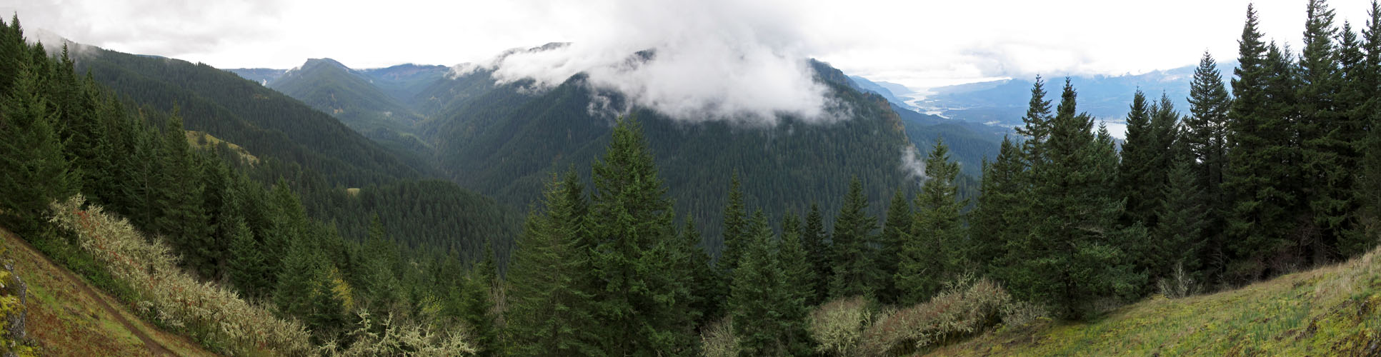Herman Creek panorama [Nick Eaton Trail, Mt. Hood National Forest, Hood River County, Oregon]