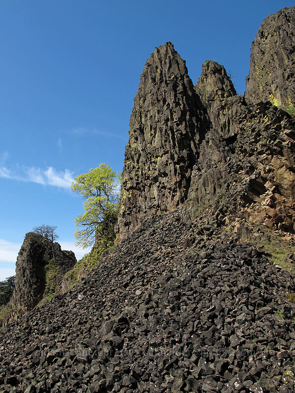 Memaloose Pinnacles [Memaloose State Park, Mosier, Wasco County, Oregon]
