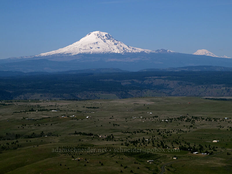 Mt. Adams & Mt. Rainier [Stacker Butte, Columbia Hills State Park, Klickitat County, Washington]