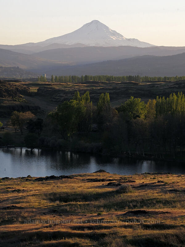 Mt. Hood & Horsethief Lake [Horsethief Butte, Columbia Hills State Park, Klickitat County, Washington]