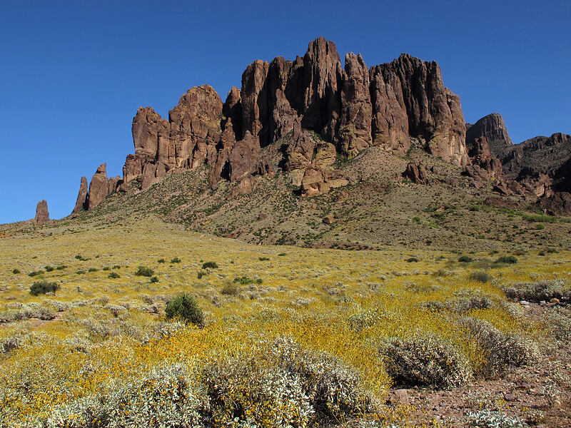 Superstition Mountain [Siphon Draw Trail, Tonto National Forest, Pinal County, Arizona]