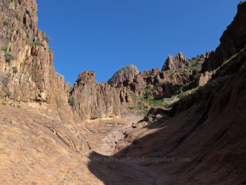slickrock basin [Siphon Draw Trail, Superstition Wilderness, Pinal County, Arizona]