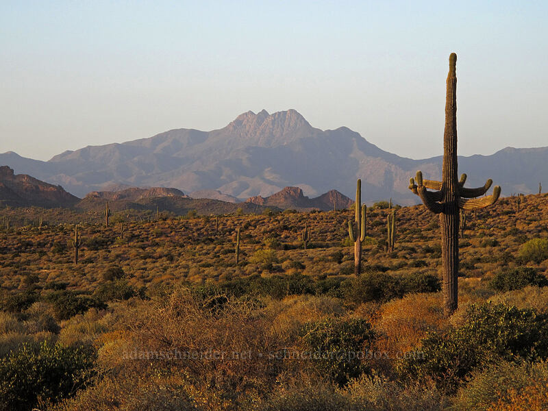 Four Peaks, Mazatzal Mountains [Siphon Draw Trail, Tonto National Forest, Pinal County, Arizona]