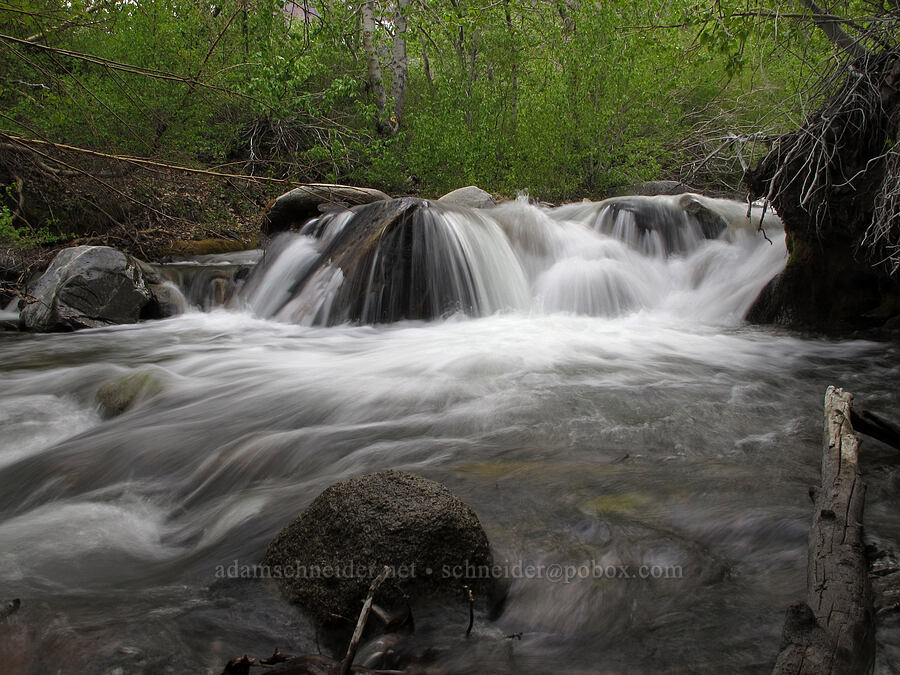 McGee Creek [McGee Creek Trail, Inyo National Forest, Mono County, California]