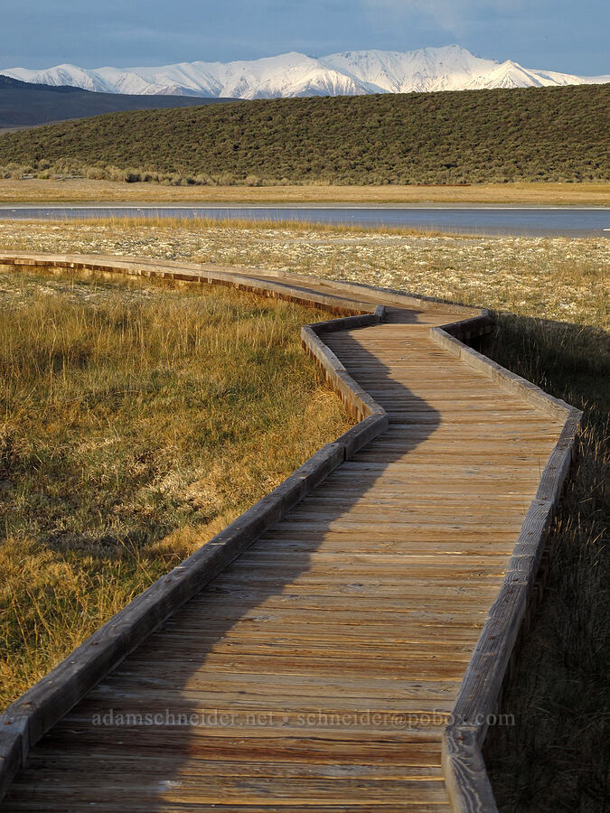 boardwalk & White Mountains [Wild Willy's Hot Spring, Long Valley Caldera, Mono County, California]
