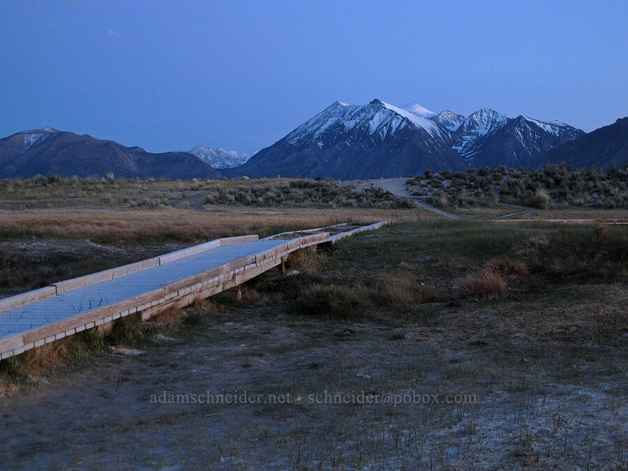 Mt. Morgan after sunset [Wild Willy's Hot Spring, Long Valley Caldera, Mono County, California]