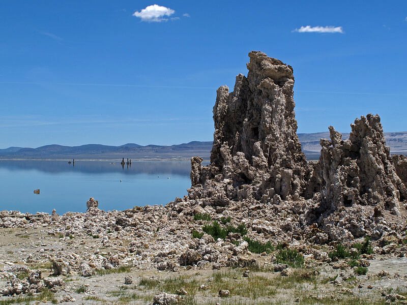 tufa formations [South Tufa Area, Mono Basin National Forest Scenic Area, Mono County, California]