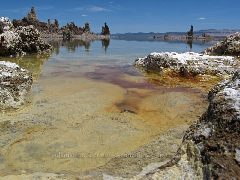 freshwater spring [South Tufa Area, Mono Basin National Forest Scenic Area, Mono County, California]
