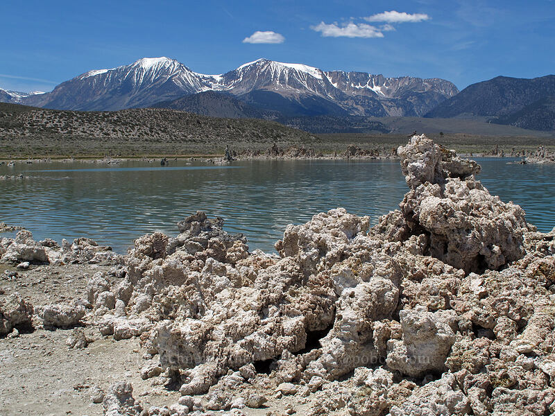 Mt. Gibbs, Mt. Dana, & tufa [South Tufa Area, Mono Basin National Forest Scenic Area, Mono County, California]