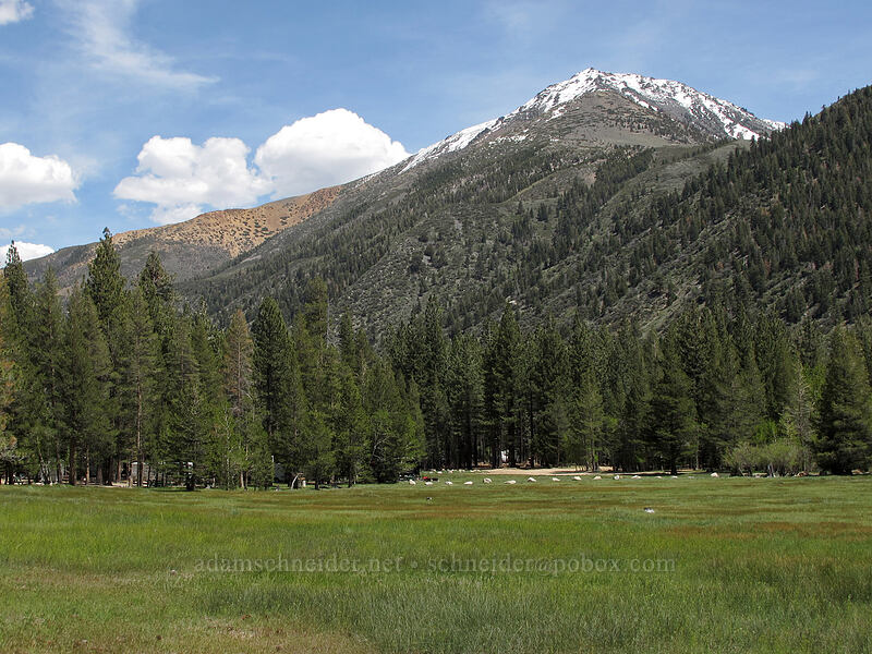 Crater Crest [Annett's Mono Village, Toiyabe National Forest, Mono County, California]