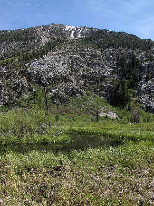 Peak 10441 & wetlands [Barney Lake Trail, Hoover Wilderness, Mono County, California]