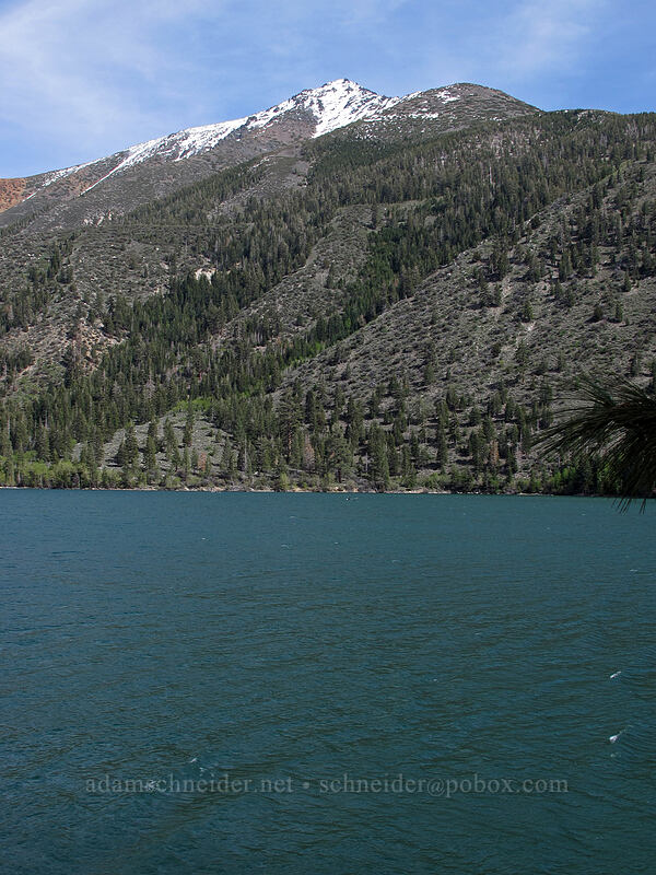 Peak 11318 & Upper Twin Lake [Twin Lakes Road, Toiyabe National Forest, Mono County, California]