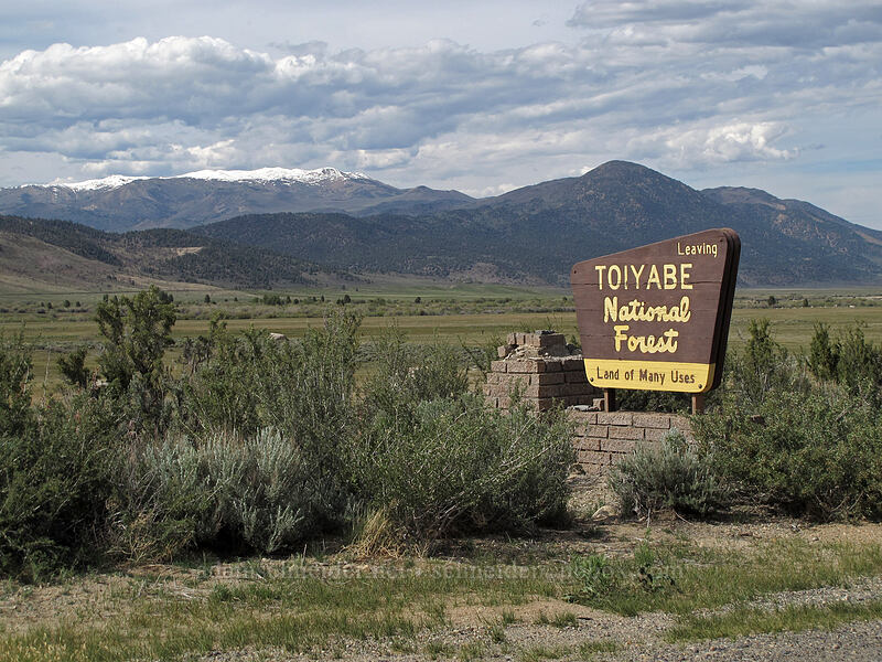 Wheeler Peak & Mt. Jackson [Twin Lakes Road, Toiyabe National Forest, Mono County, California]