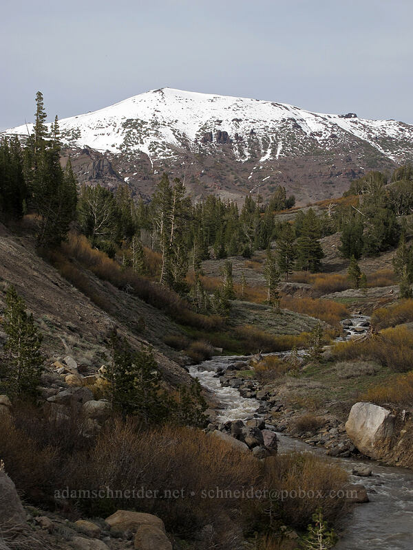 Sonora Peak & Deadman Creek [Sonora Pass Road, Toiyabe National Forest, Tuolumne County, California]