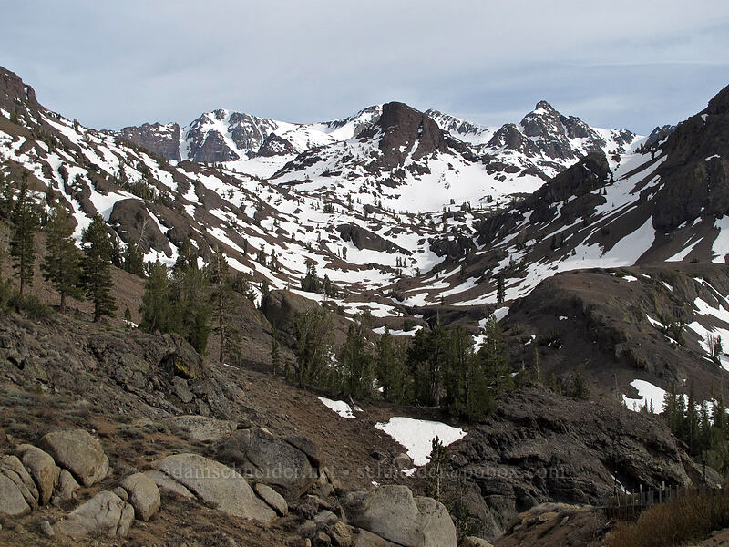 Blue Canyon & Leavitt Peak [Sonora Pass Road, Toiyabe National Forest, Tuolumne County, California]
