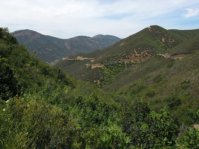 Grizzly Gulch [New Priest Grade Road, Tuolumne County, California]