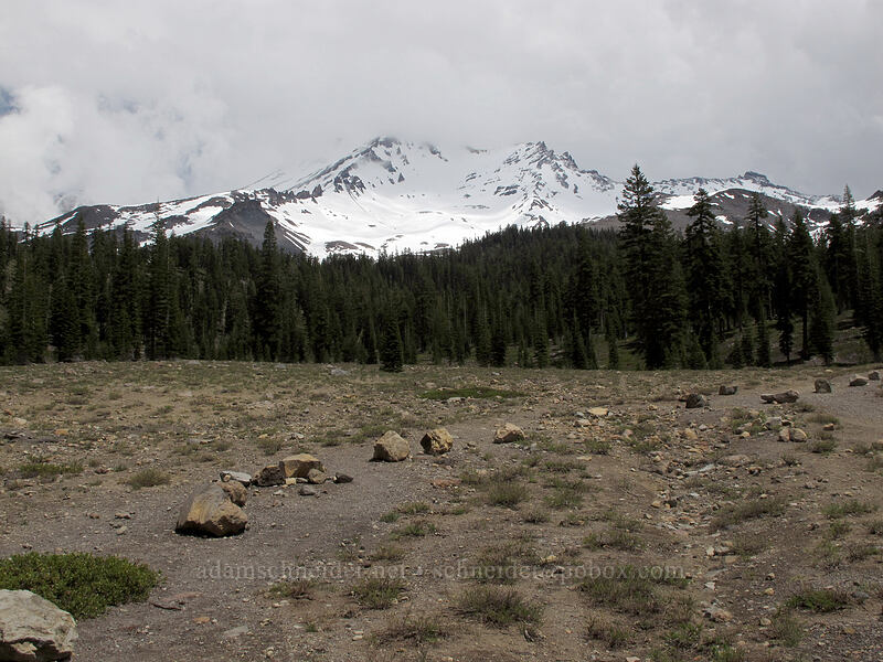 Mt. Shasta [Bunny Flat, Shasta-Trinity National Forest, Siskiyou County, California]