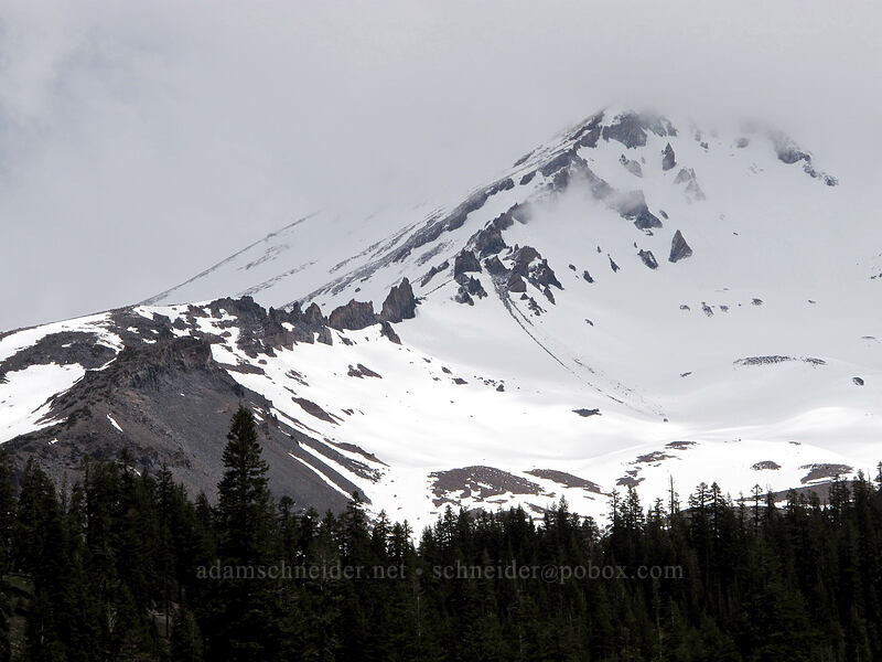 Mt. Shasta [Bunny Flat, Shasta-Trinity National Forest, Siskiyou County, California]