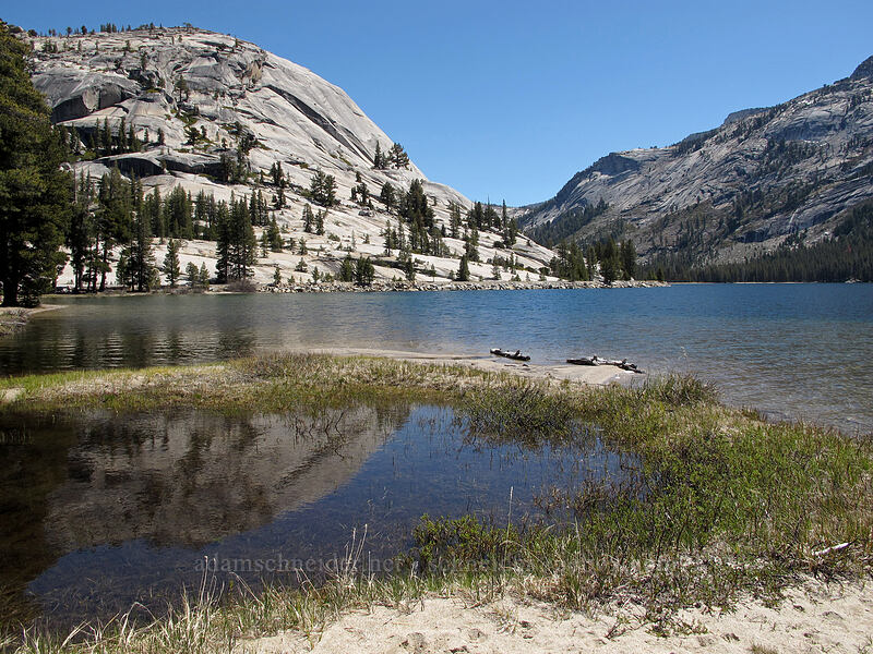 granite dome & Tenaya Lake [Tenaya Lake, Yosemite National Park, Mariposa County, California]