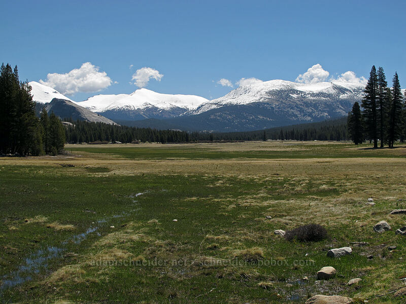 Tuolumne Meadows [Pothole Dome Trail, Yosemite National Park, Tuolumne County, California]