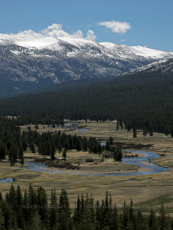 Kuna Crest & Tuolumne Meadows [Pothole Dome, Yosemite National Park, Tuolumne County, California]