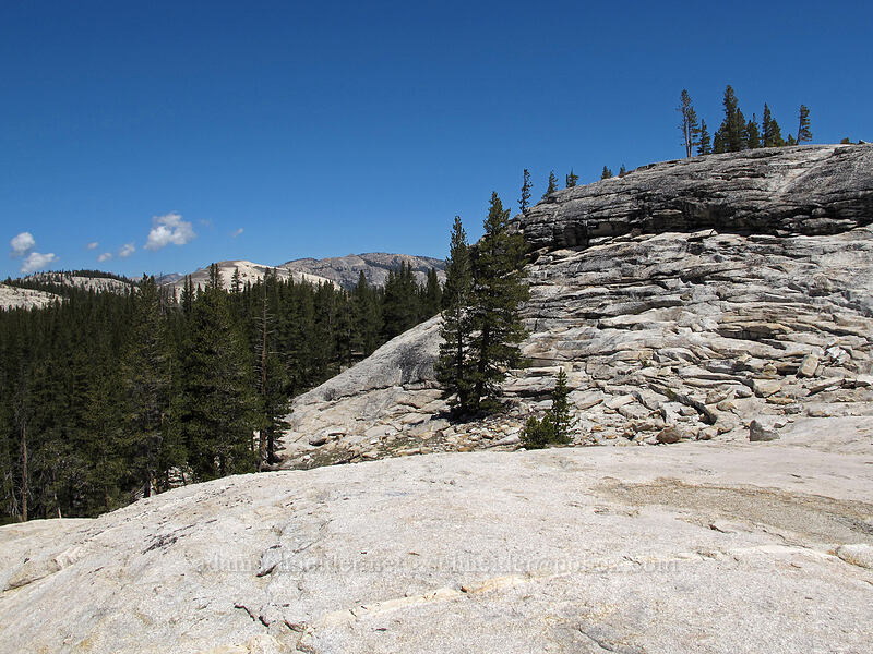 Pothole Dome [Pothole Dome, Yosemite National Park, Tuolumne County, California]