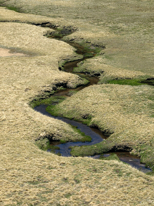 Tuolumne Meadows [Pothole Dome, Yosemite National Park, Tuolumne County, California]