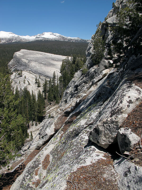 scramble down [Lembert Dome, Yosemite National Park, Tuolumne County, California]