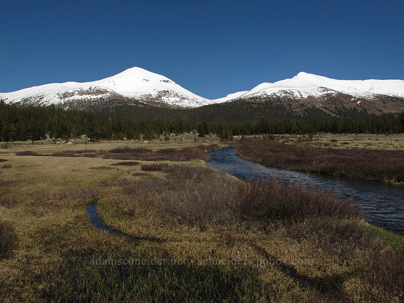 Mt. Dana, Mt. Gibbs, & Dana Fork [Tioga Road, Yosemite National Park, Tuolumne County, California]