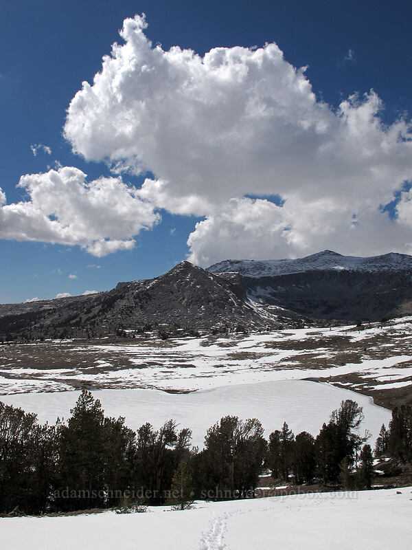 Gaylor Lake, covered in snow [Gaylor Lake Trail, Yosemite National Park, Tuolumne County, California]