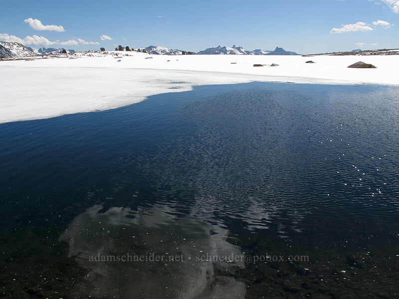 open water [Gaylor Lake Trail, Yosemite National Park, Tuolumne County, California]