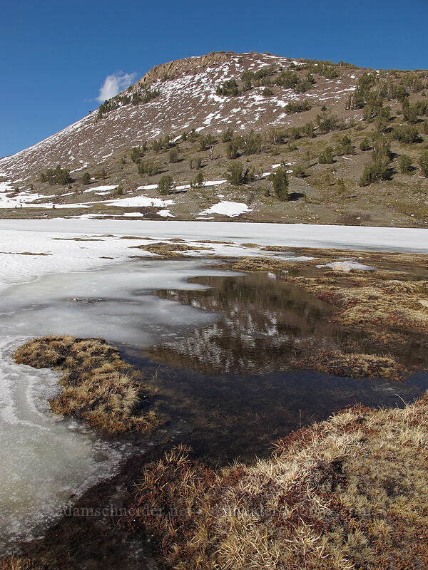 Gaylor Peak [Gaylor Lakes Basin, Yosemite National Park, Tuolumne County, California]