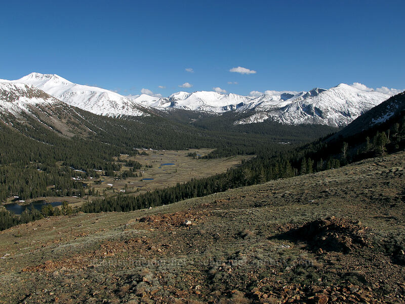 Dana Meadows & surrounding mountains [Gaylor Lake Trail, Yosemite National Park, Tuolumne County, California]