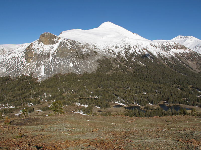 Mt. Dana [Gaylor Lake Trail, Yosemite National Park, Tuolumne County, California]