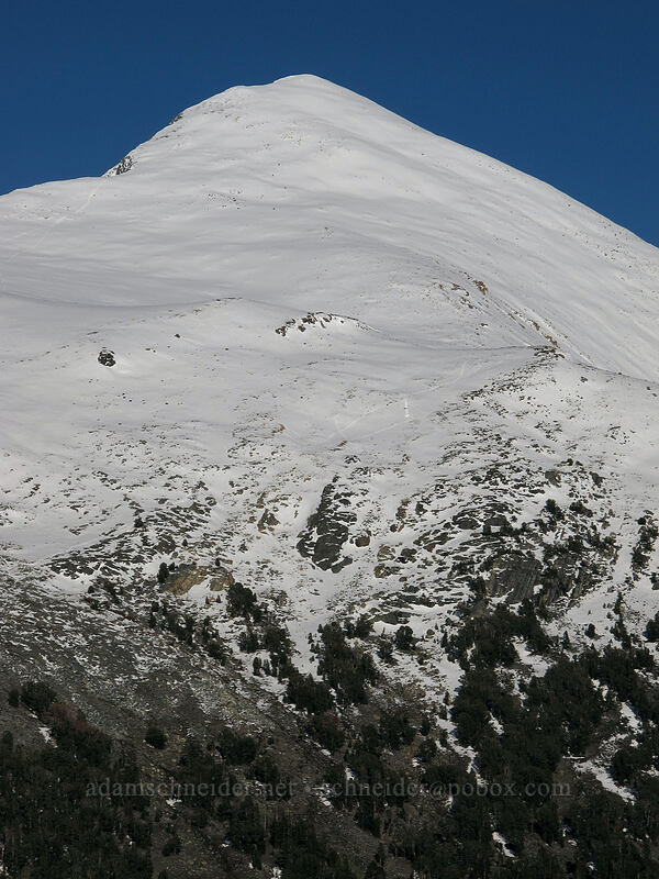 Mt. Dana closeup [Gaylor Lake Trail, Yosemite National Park, Tuolumne County, California]