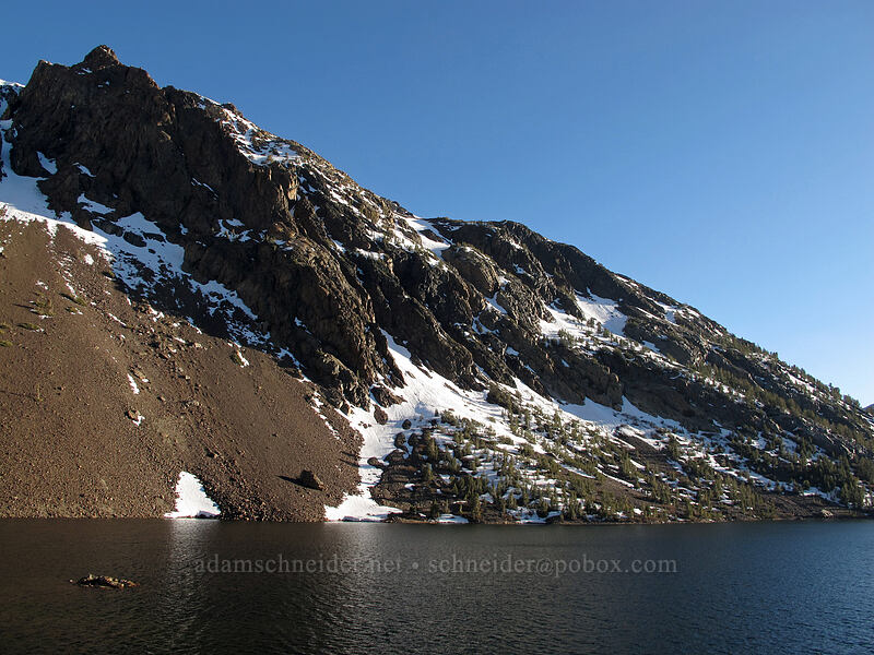 Ellery Lake [Tioga Road, Inyo National Forest, Mono County, California]