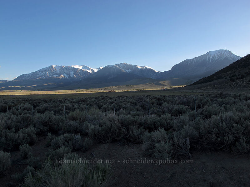 east side of the Sierra Nevada [U.S. Highway 395, Inyo National Forest, Mono County, California]