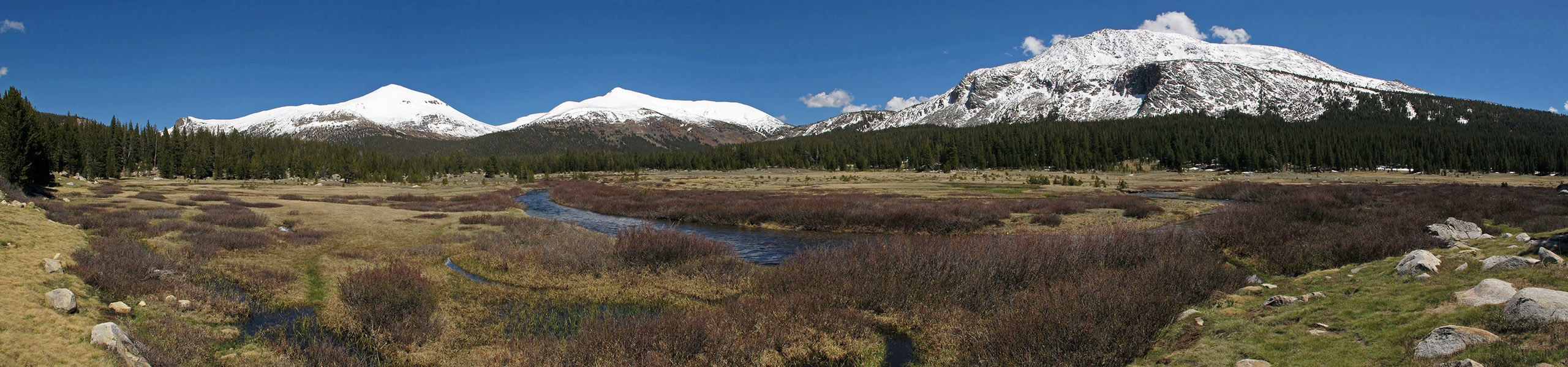 Dana Meadows panorama [Tioga Road, Yosemite National Park, Tuolumne County, California]