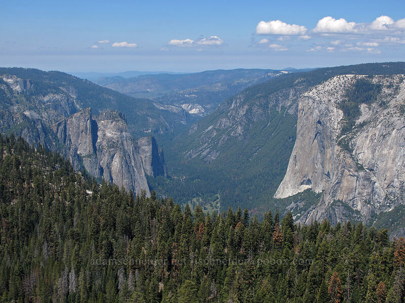 Cathedral Rocks & El Capitan [Sentinel Dome, Yosemite National Park, Mariposa County, California]